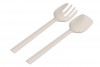 COLISEUM 2 PCS SET( SPOON /FORK) BEİGE