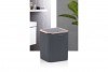 Striped Trash Can Rose - Anthracite