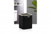 Striped Trash Can Gold - Black