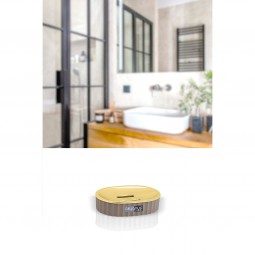 Coliseum Soap Holder / Gold
