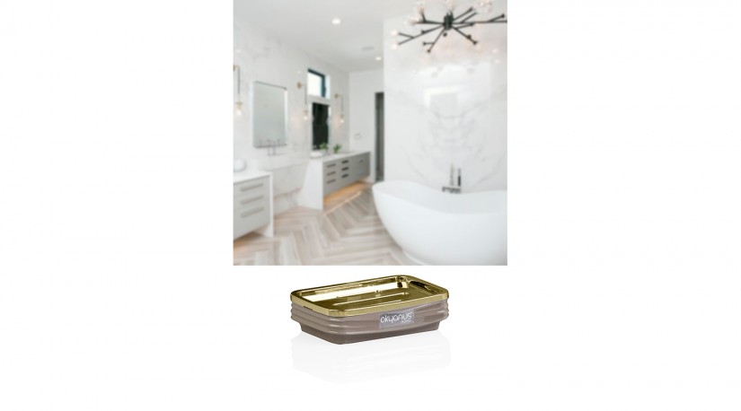 Luna Square Soap Holder / Gold