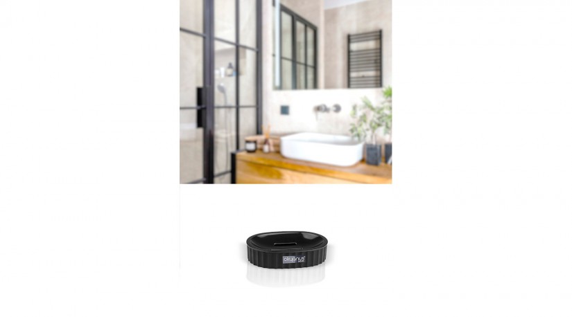 Coliseum Soap Holder